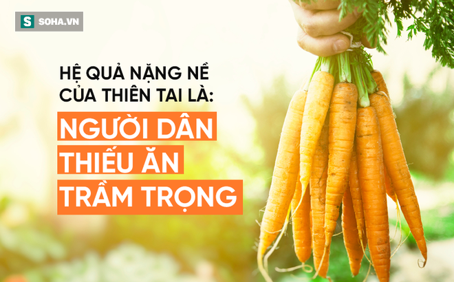 GS Nguyễn Hữu Ninh: Các giải pháp ứng phó biến đổi khí hậu tại APEC 2017 rõ ràng hơn nhiều! - Ảnh 5.