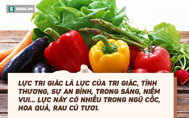 Lương y Ngô Đức Vượng: Chúng ta ăn uống quá sai lầm! Con người có thể sống 120-140 tuổi - Ảnh 6.