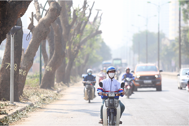 Đường Phạm Văn Đồng chìm trong nắng bụi khi bắt đầu chặt hạ 1300 cây xanh - Ảnh 6.
