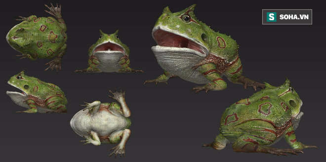 Lực cắn vô địch của ếch quỷ cổ đại: Có thể nghiền nát cả khủng long - Ảnh 2.