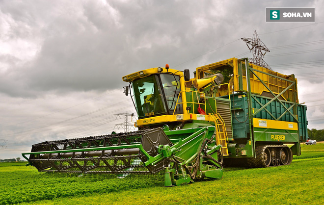 Những cỗ máy khổng lồ khiến nông nghiệp trở nên dễ dàng hơn bao giờ hết - Ảnh 1.