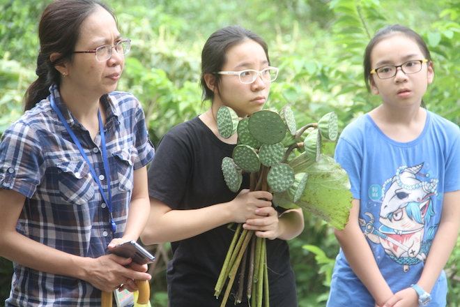 Nhiều người đội mưa đến dâng hương mộ Đại tướng trước ngày 27/7 - Ảnh 6.