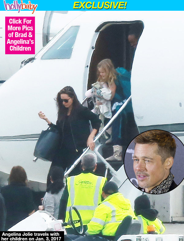 Brad Pitt điên tiết khi Angelina Jolie liên tục di chuyển chỗ ở của các con - Ảnh 2.