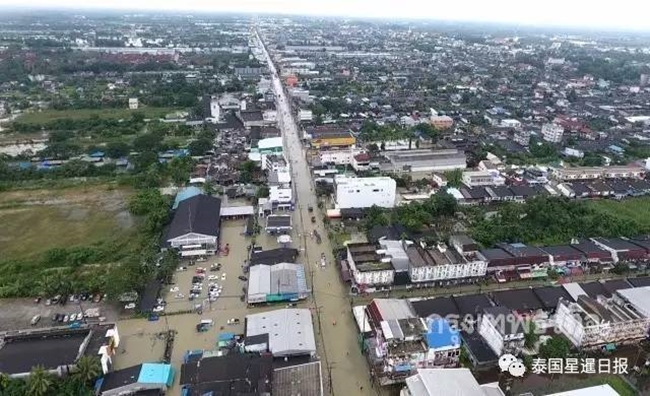 Thái Lan: Mặc kệ mưa lũ, người dân vô tư xẻ thịt cá sấu sổng chuồng giữa dòng nước - Ảnh 1.