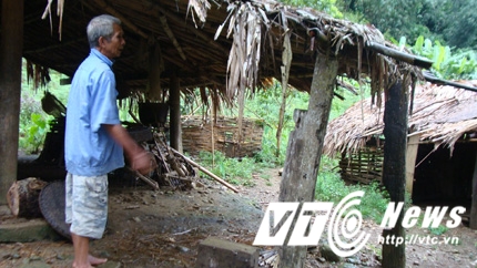 Gà chín cựa 100 triệu và giấc mơ thành vua khi ăn lễ vật của vua Hùng - Ảnh 1.