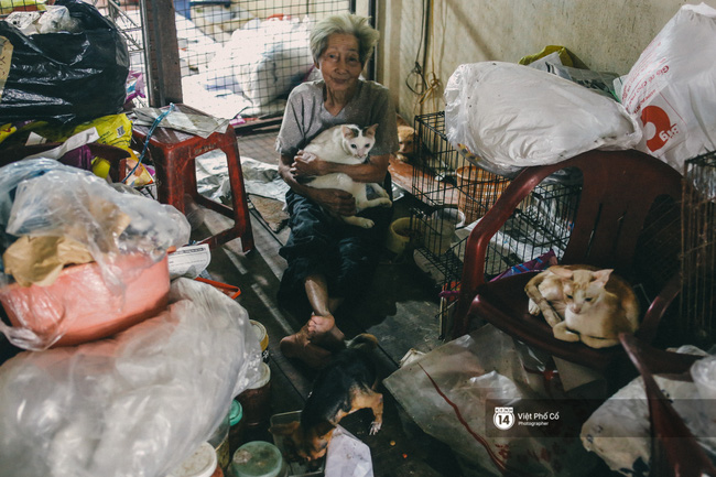 Cụ bà cưu mang 50 đứa con chó mèo trong căn nhà ẩm thấp ở Sài Gòn giờ ra sao? - Ảnh 2.