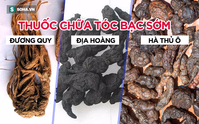 Tóc bạc sớm khiến bạn già trước tuổi, bác sĩ chỉ ra 2 giải pháp giúp chữa tận gốc - Ảnh 3.