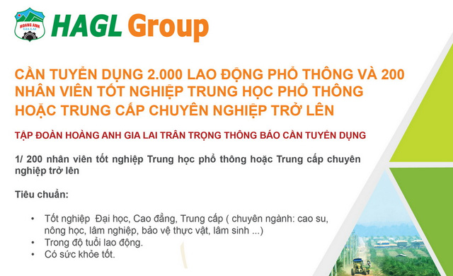 Bầu Đức tuyển thêm 2.200 lao động cho các nông trường HAGL - Ảnh 1.