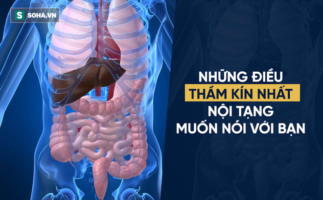 Chuyên gia tiêu hóa cảnh báo 2 thói quen hại dạ dày nhanh nhất: Có thể chính bạn cũng mắc - Ảnh 1.