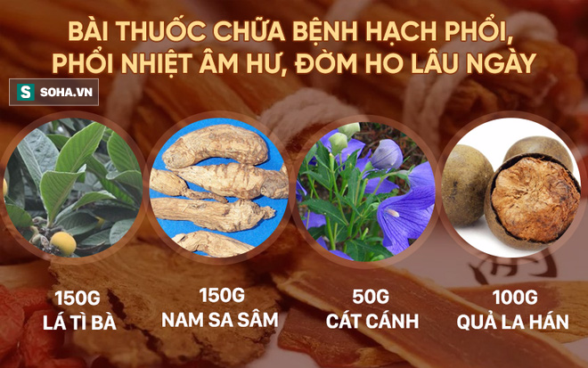 Đông y TQ ca ngợi đây là quả thần tiên của sức khỏe: VN vừa nhiều vừa rẻ - Ảnh 4.