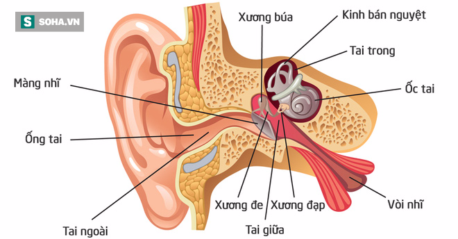 Nhỏ 1 giọt oxy già vào tai trước khi tắm: Cách lấy ráy tai an toàn không phải ai cũng biết - Ảnh 2.