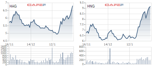 Nếu mua cổ phiếu HAGL trước tết, nhà đầu tư đã có thể yên tâm “du xuân” với tỷ suất lợi nhuận cao bất ngờ - Ảnh 1.
