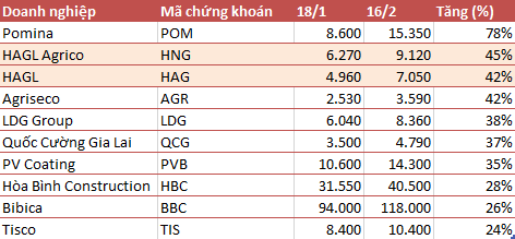 Nếu mua cổ phiếu HAGL trước tết, nhà đầu tư đã có thể yên tâm “du xuân” với tỷ suất lợi nhuận cao bất ngờ - Ảnh 2.