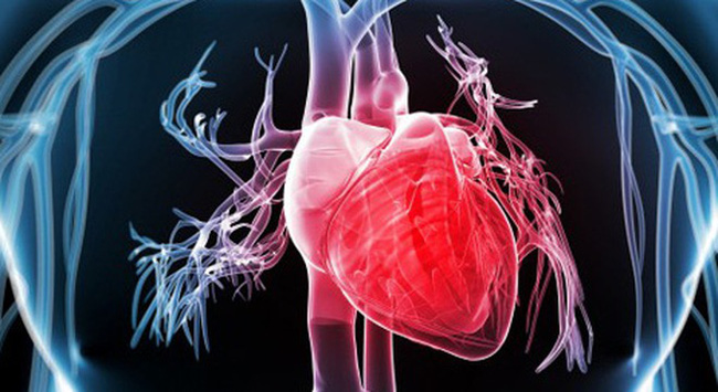 Dấu hiệu bạn phải biết để ứng phó với cơn đau tim sắp xảy đến - Ảnh 1.