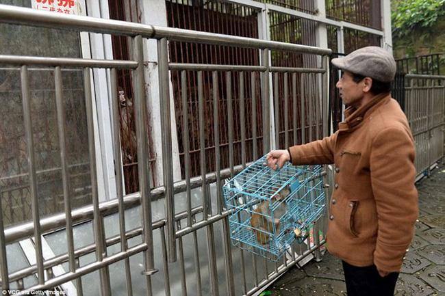 Chủ vườn thú bị chỉ trích vì cho các loài động vật ăn thịt nhau - Ảnh 2.