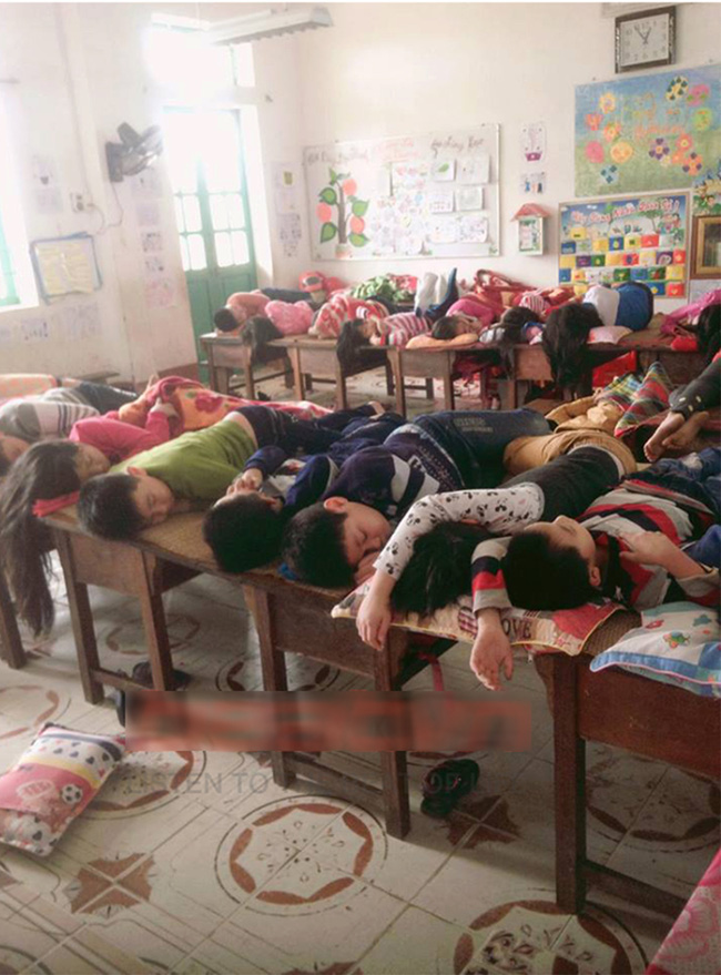  Bức ảnh cá mòi xếp lớp học sinh bán trú ngủ trưa khiến dân mạng rào rào kể kỷ niệm tuổi thơ - Ảnh 1.