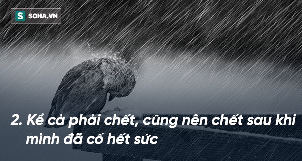 Kinh nghiệm 23 năm chiến đấu với ung thư: Đường càng gập ghềnh càng phải hát ca - Ảnh 3.