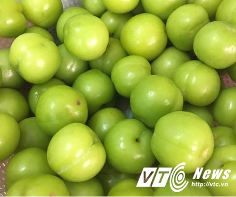 Mận, mơ, nhót đầu mùa giá 150.000 đồng/kg, người mua bị hớ nặng - Ảnh 1.