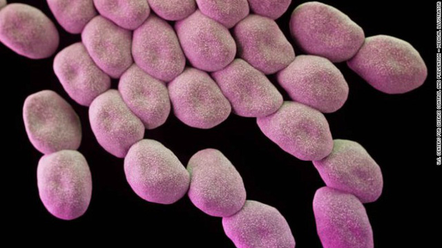 WHO vừa công bố danh sách 12 siêu vi khuẩn kháng kháng sinh nguy hiểm nhất thế giới, 3 trong số đó gần như không còn cách trị - Ảnh 2.