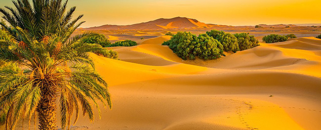 Phải chăng chính con người đã biến Sahara thành sa mạc? - Ảnh 1.