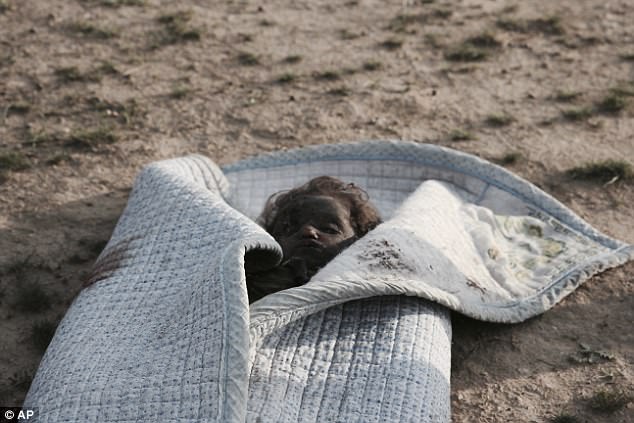 Bức ảnh thi thể bé gái quấn trong chăn gợi lên nỗi đau chiến tranh của trẻ em Iraq - Ảnh 1.