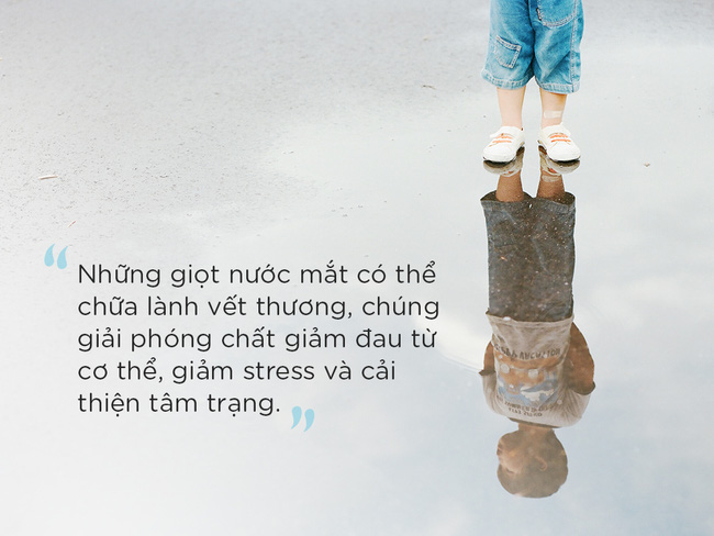 Muốn dạy con ngoan, trưởng thành, mọi bà mẹ cần học cách nói Không - Ảnh 1.