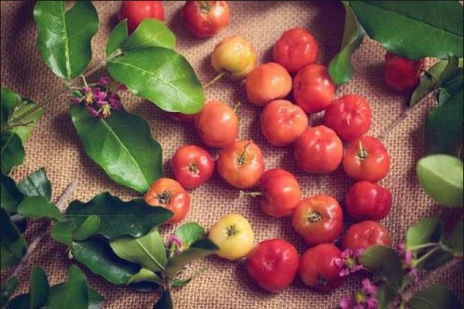 Vì sao phụ nữ Nhật và phương Tây thích ăn sơ ri Việt Nam? - Ảnh 1. Vì sao phụ nữ Nhật và phương Tây thích ăn sơ ri Việt Nam? - Ảnh 1.