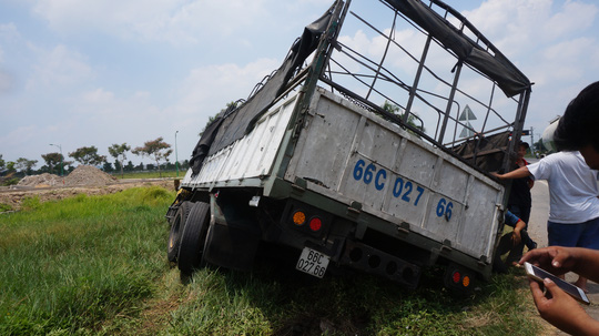 Bị ong tấn công, tài xế để xe bay khỏi Quốc lộ 1 - Ảnh 1.