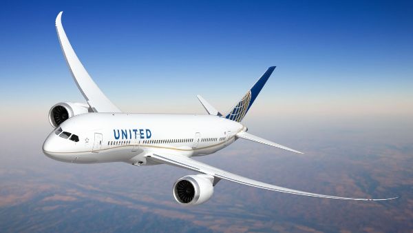Nam hành khách bị bọ cạp nhảy dù lên đầu trên chuyến bay của hãng United Airlines - Ảnh 1.