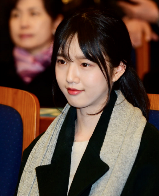 Bố tham gia tranh cử Tổng thống Hàn Quốc, nhưng dư luận lại chỉ tập trung vào cô con gái xinh đẹp - Ảnh 2.