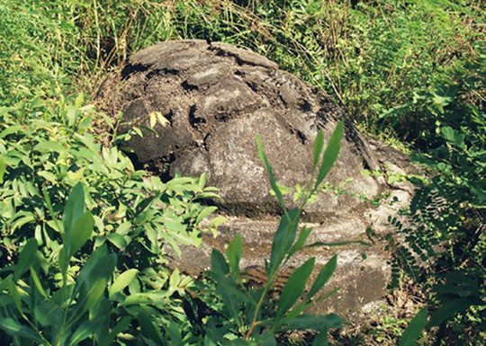 Bí ẩn chưa giải về 500 ngôi mộ Hời trên núi ở Phú Yên - Ảnh 2.
