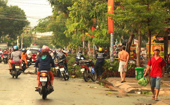 TP HCM: Mưa kèm gió giật mạnh, hàng loạt cây xanh gãy đổ - Ảnh 1.