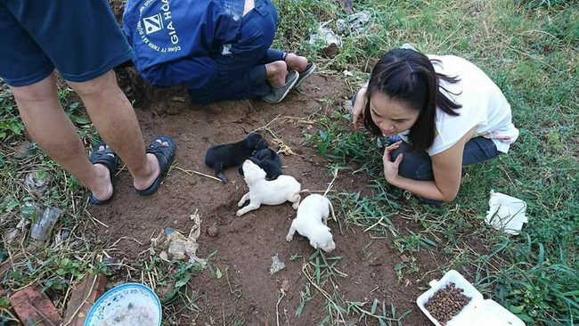 Nhóm bạn trẻ cứu sống kịp thời chó mẹ cùng đàn con mới sinh bị bỏ rơi trong hang - Ảnh 2.