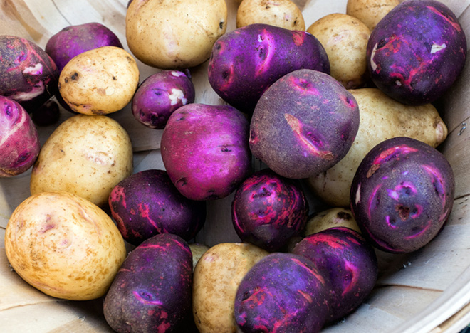 Rất nhiều bà nội trợ đang bảo quản khoai tây sai cách khiến chúng sinh ra chất gây ung thư - Ảnh 3.