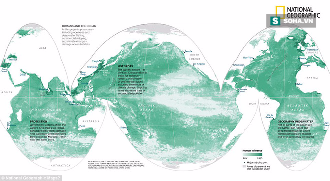 Bằng chứng tiết lộ sự thật tồi tệ về những gì con người đang tàn sát đại dương - Ảnh 1.
