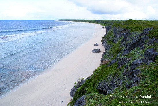 Hòn đảo xinh đẹp được UNESCO công nhận là Di sản Thế giới này đang phải hứng chịu gần 18 tấn rác thải - Ảnh 1.