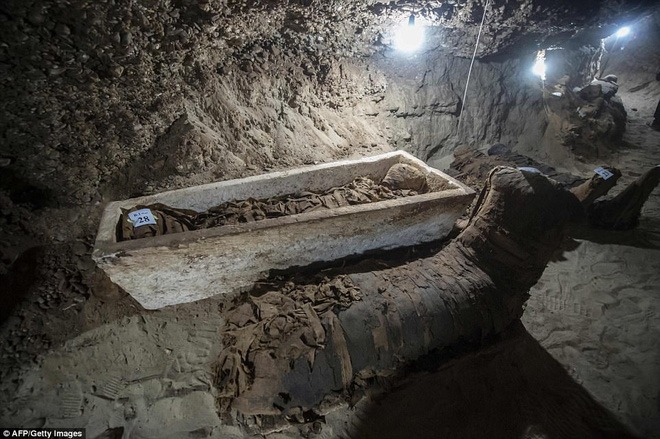 Khai quật mộ cổ Ai Cập 2300 năm tuổi - ít nhất 17 xác ướp cấp cao được tìm thấy - Ảnh 2.