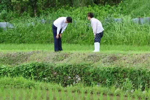 Nhân viên đoàn hộ tống Thủ tướng Nhật Bản cúi đầu chào và cảm ơn người đi xe đạp vì đã nhường đường - Ảnh 2.