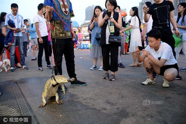 Dắt cá sấu dạo phố để sau đó... ăn thịt - Ảnh 2.