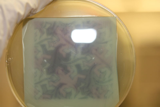 Các nhà khoa học biến vi khuẩn thành những họa sĩ hiển vi, vẽ được cả hình Mario - Ảnh 2.