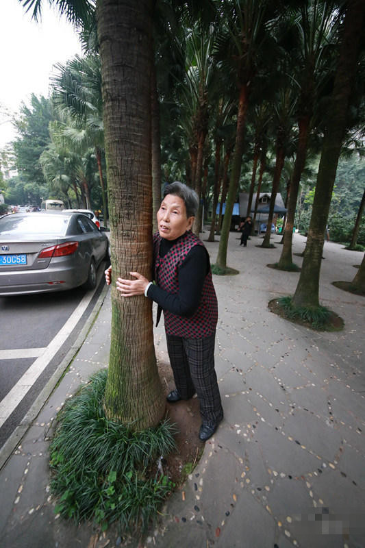 Chữa bệnh bằng cây xanh: Một trào lưu dưỡng sinh mới đang nở rộ ở Trung Quốc - Ảnh 12.