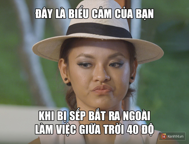 Chùm ảnh chế: Không có biển xanh, cát trắng đâu, mùa hè là mùa của nắng và nóng cơ! - Ảnh 2. Chùm ảnh chế: Không có biển xanh, cát trắng đâu, mùa hè là mùa của nắng và nóng cơ! - Ảnh 2.