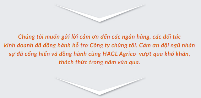 Bầu Đức viết tâm thư cảm ơn ngân hàng, đối tác và nhân viên, kỳ vọng sự kiên nhẫn của nhà đầu tư sẽ được đền đáp xứng đáng - Ảnh 1.