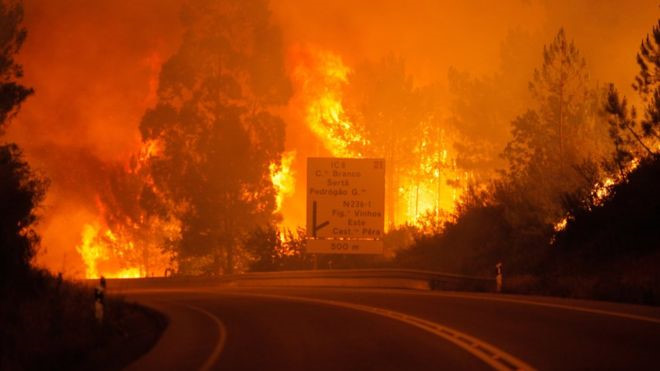 Bồ Đào Nha: Bi kịch chết cháy trong ô tô khi lửa dữ quét qua đường - Ảnh 5.
