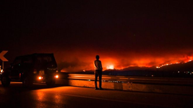 Bồ Đào Nha: Bi kịch chết cháy trong ô tô khi lửa dữ quét qua đường - Ảnh 7.