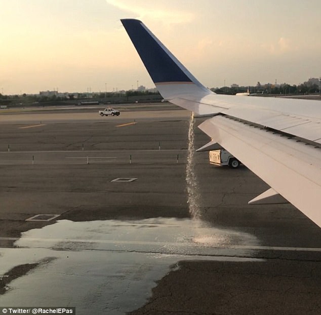 Cứu hãng United Airlines thoát khỏi thảm họa, cặp vợ chồng trẻ nhận “hậu tạ” không ngờ - Ảnh 1.