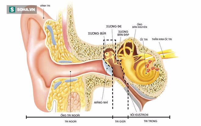 Những sai lầm của bố mẹ khi điều trị viêm tai giữa khiến con có thể bị điếc - Ảnh 1.