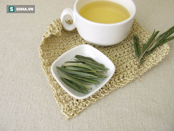 Lá ô liu pha trà: Phương thuốc cổ 3000 năm hỗ trợ chữa trị 10 loại bệnh  - Ảnh 2.