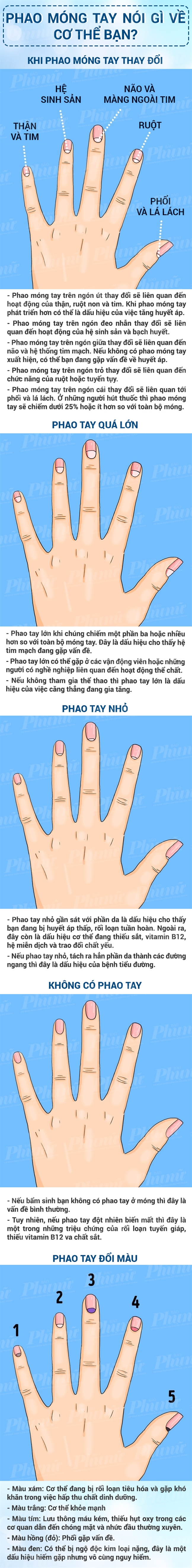 Nhìn phao móng tay biết ngay bệnh đang mắc - Ảnh 1.