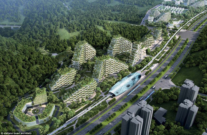 Choáng ngợp trước thành phố rừng xanh đầu tiên của thế giới với 1 triệu cây - Ảnh 1.